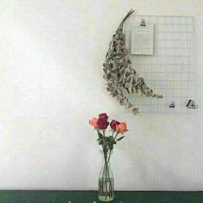 火影大人九游版下载